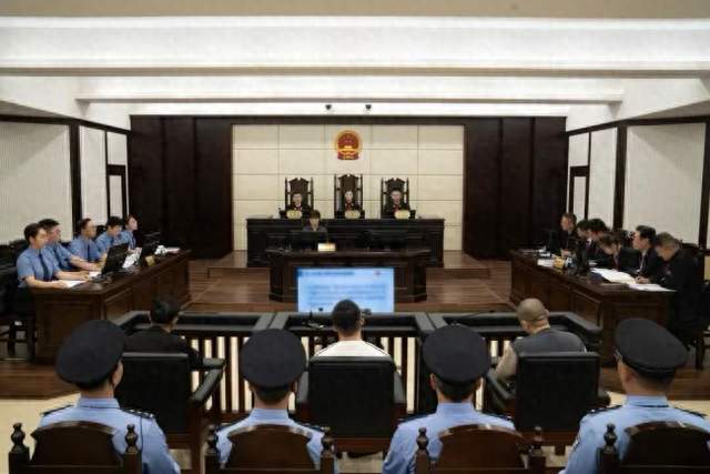 大快人心！缅北魏家犯罪集团一审宣判，3人死刑、3人无期