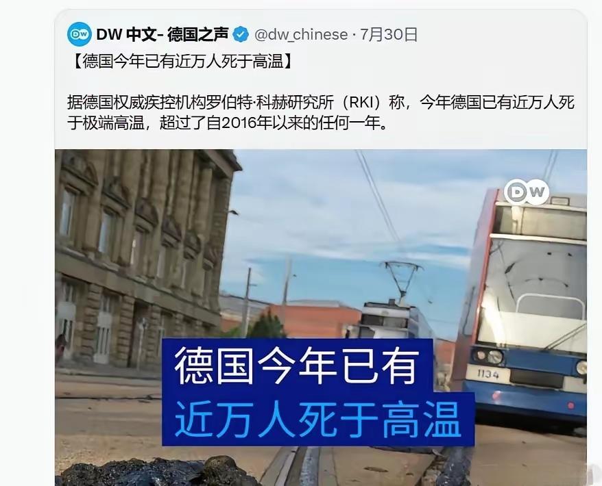 德国今年已经有近万人死于极端高温！这个消息如果不是7月30号德国媒体自己曝出来的