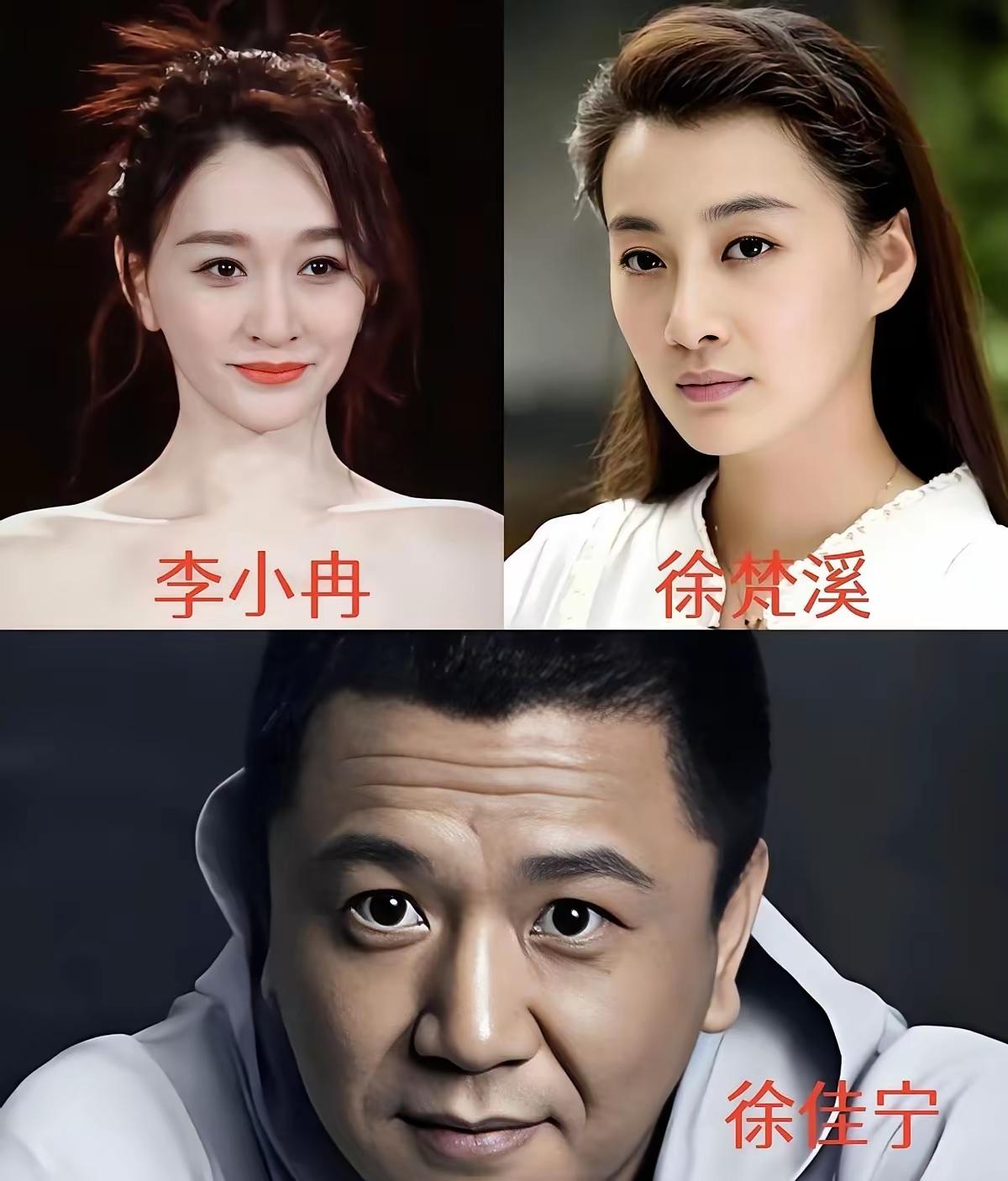 这么看还是李小冉颜值高，皮肤白，身材好，作品多，徐梵溪还是差了一大截，所以徐佳宁