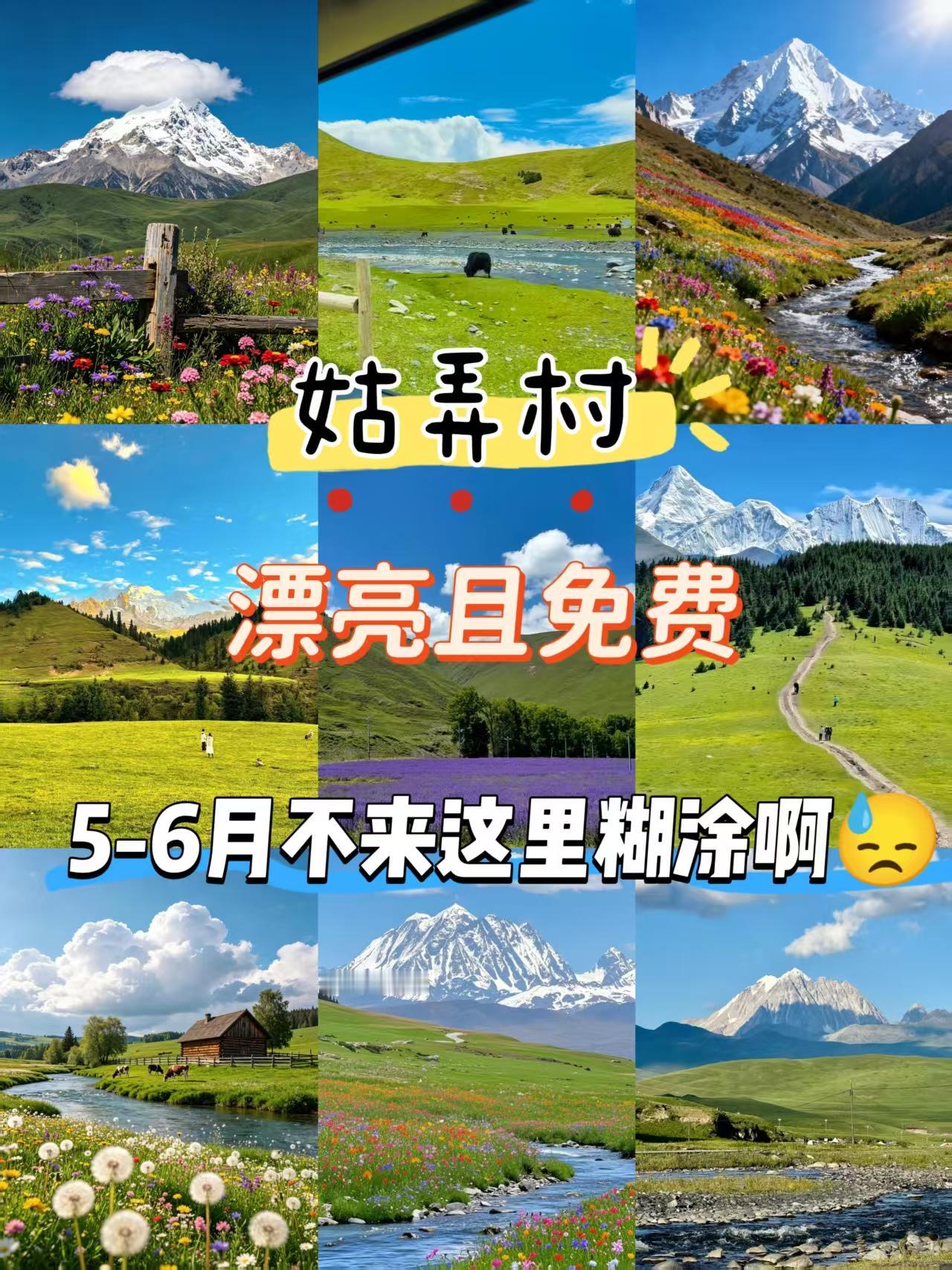 姑弄村，漂亮且免费！5-6月不来这里糊涂啊！川西·塔公草原旁，雅拉雪山脚下的油画