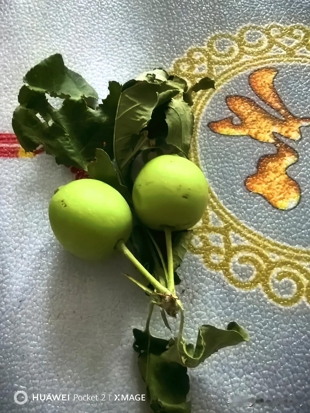 小区里果子这么大了，故意摘了两个，准备回来品尝一下，回忆小时候的味道。小时候那个