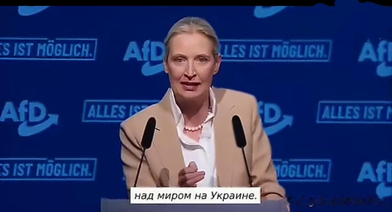 ❗“停止一切援助！”——德国选择党对乌克兰亮明红线！

德国选择党主席爱丽丝·魏