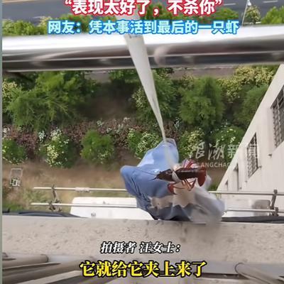 “凭实力续命！”6月14日，安徽滁州，一女子晒衣服被子时，枕套又掉到了楼下，她实