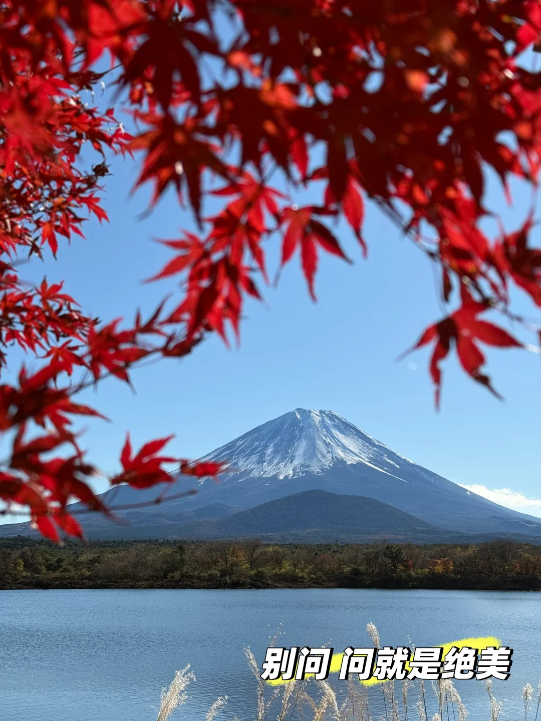 富士山我超级爱的酒店