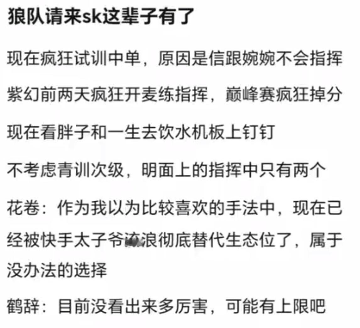KPL挑战者杯sk疯狂试训中单，果然每个队伍都少不了一个好的指挥位 