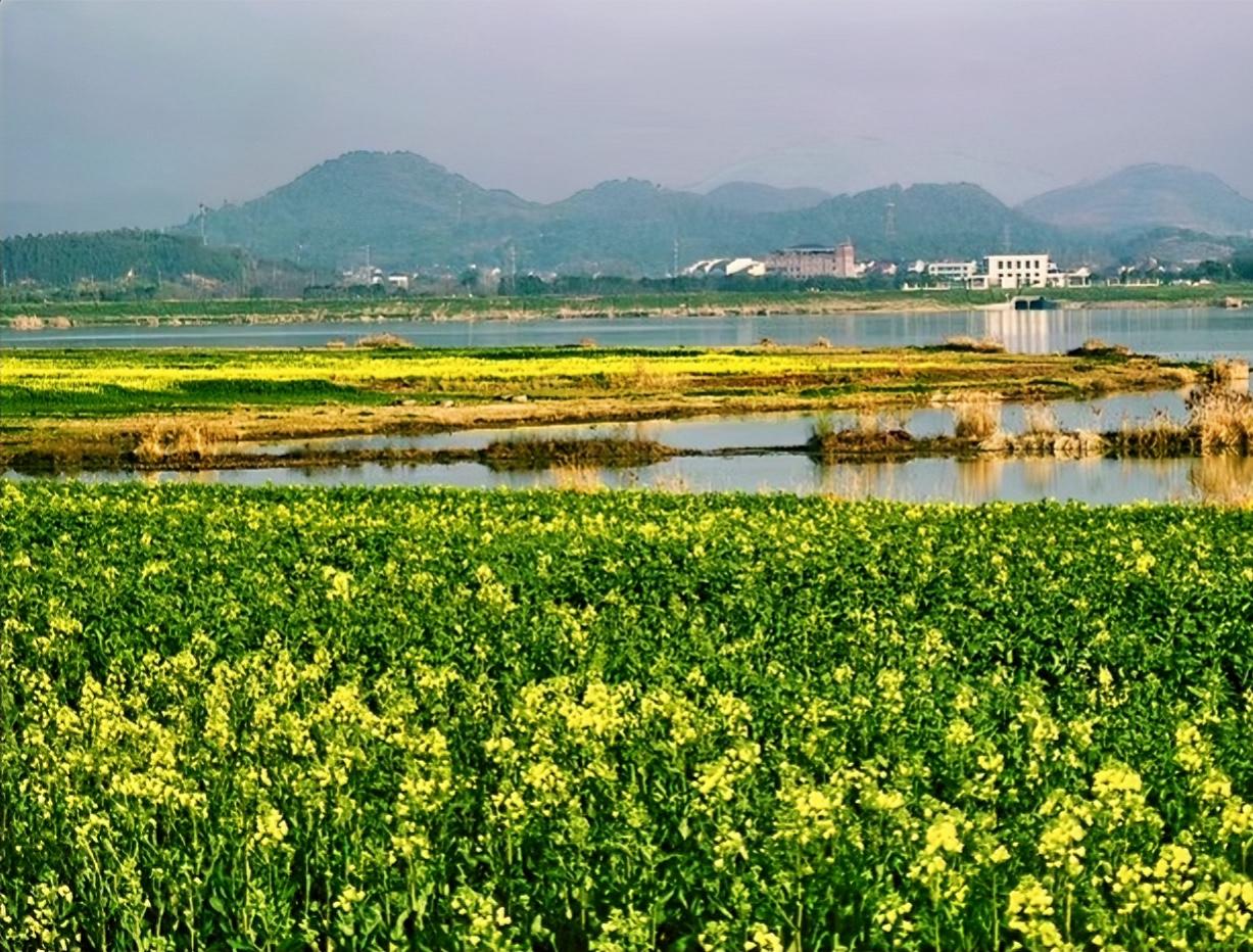 心理学家发现，人都会出现周期性情绪波动。尤其是退休后。

明明生活没出问题，却突