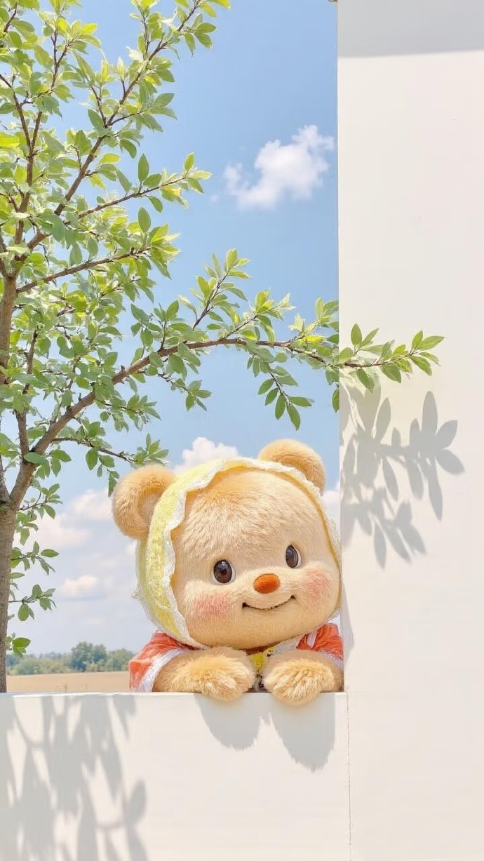 希望五年后的今天，你能有一笔可观的存款，一份小有成就的事业，一张未显老态的脸庞，