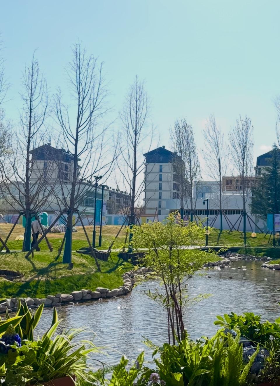 楼市又屡屡传出有关“王炸的小作文”？

今天，从“小某书”到“某头条”又有自媒体