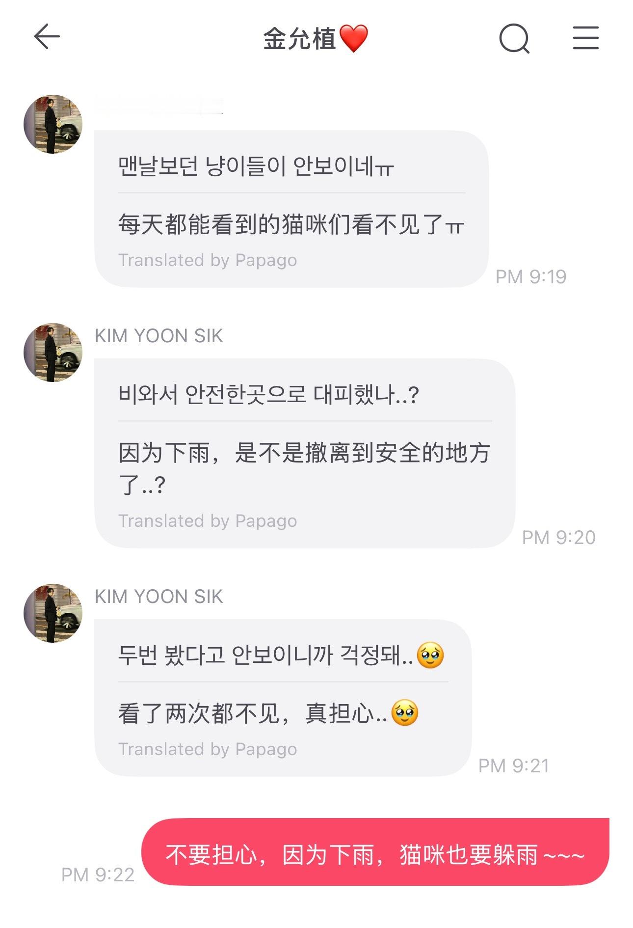 允植来信 我家最善良的小猪，心软软