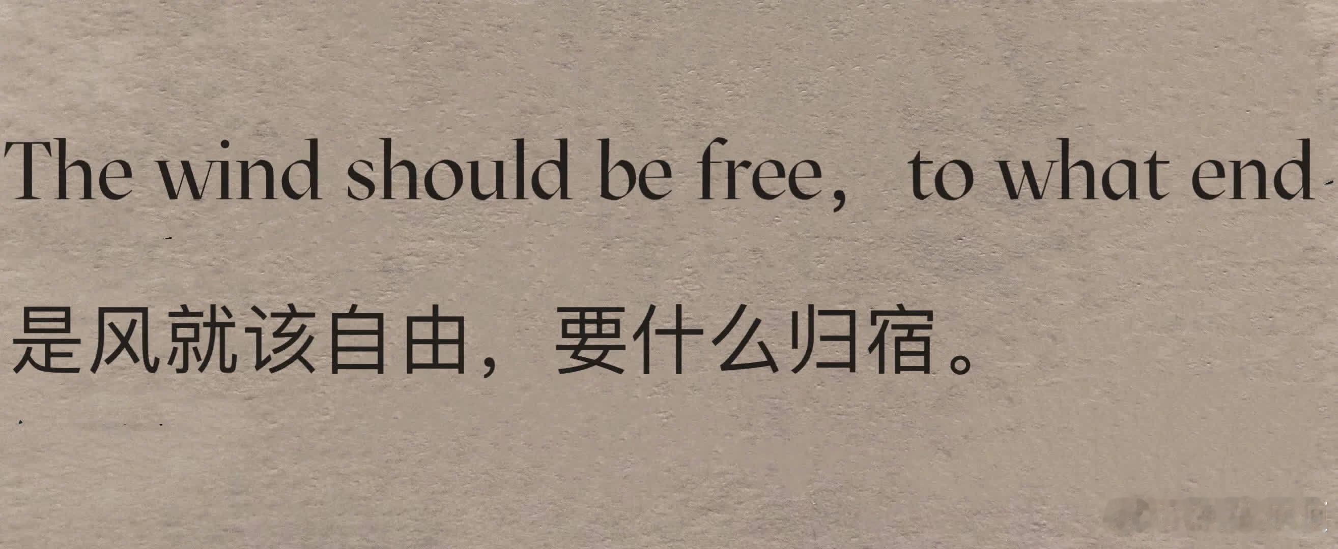 “救命！好喜欢这句😭”  The wind should be free，to