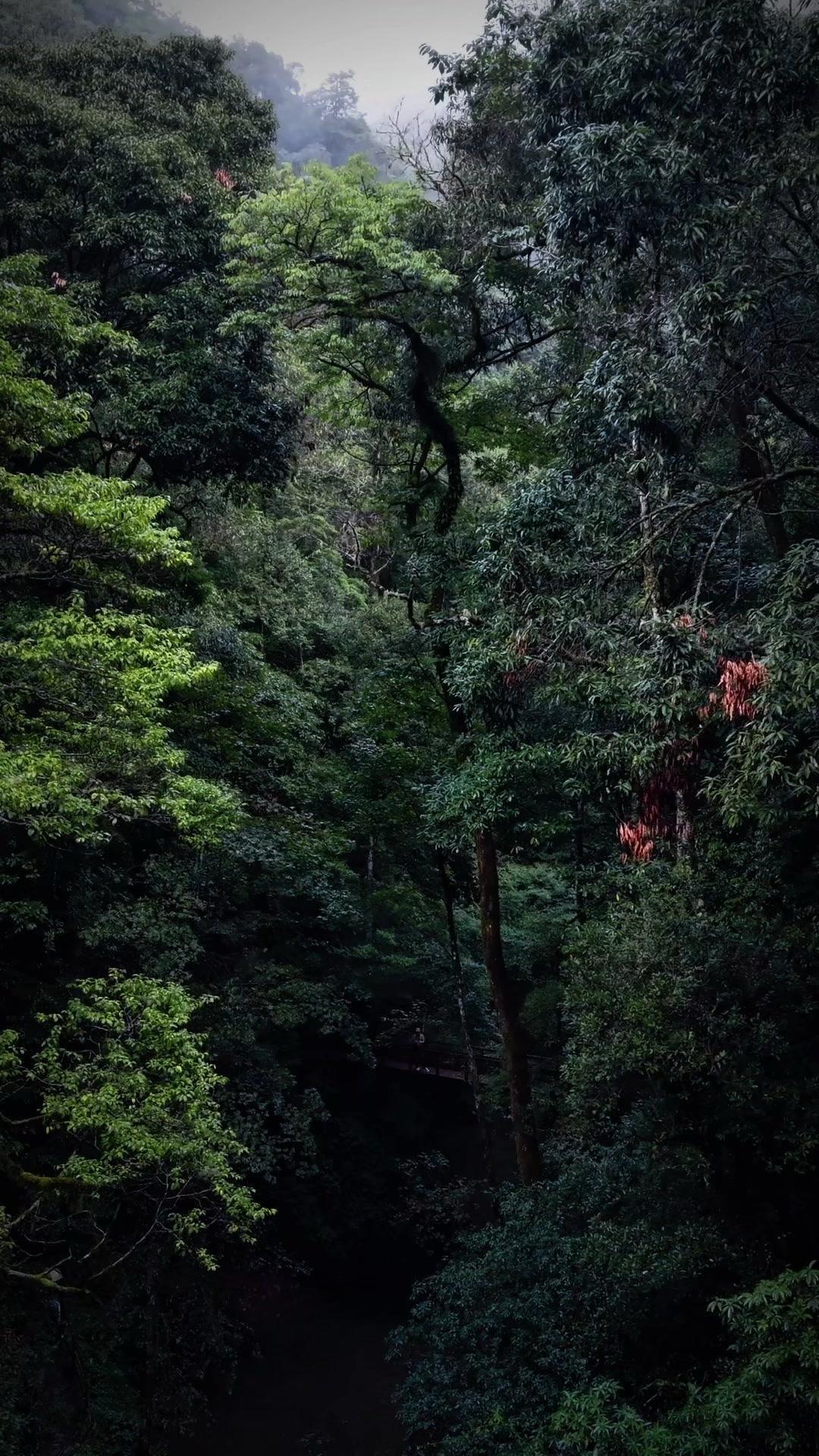 🌿昨天去了石门峡，真的被这里的清绿惊艳到。一进峡谷，就能看到整条河都是清澈的绿