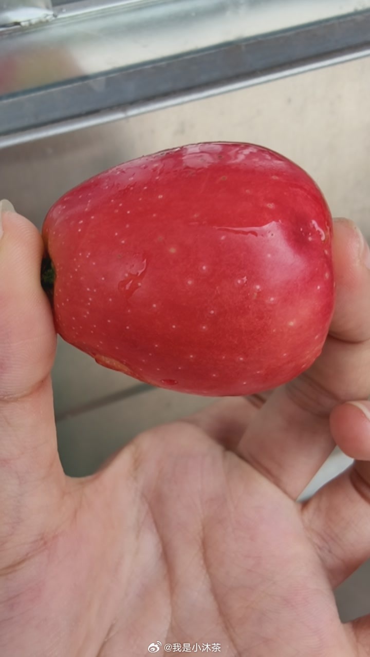 好小的苹果🍎 