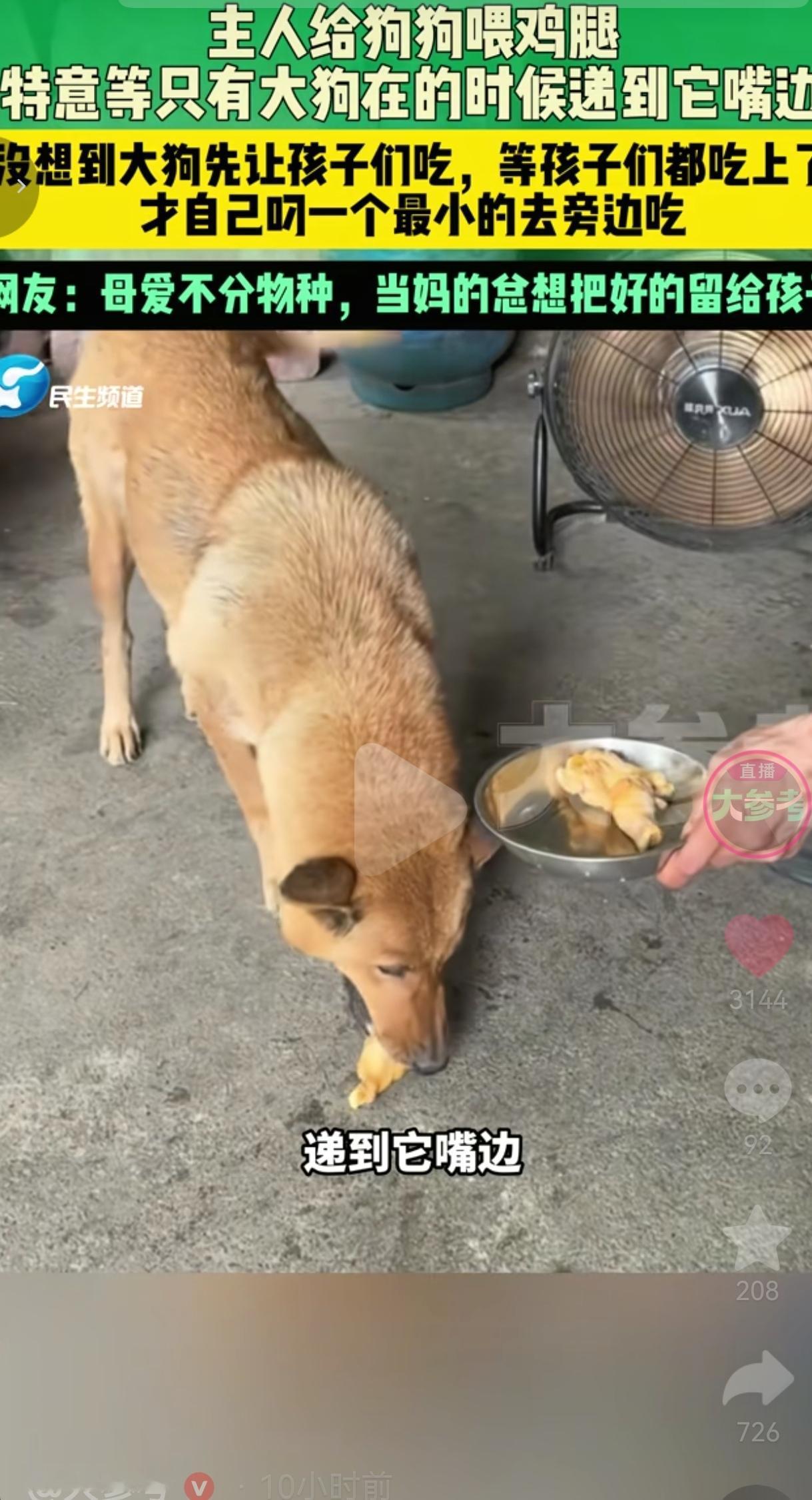 原来母爱真的不分物种，这一刻，真的被一只土狗狠狠治愈、也破防了。
 
这件事发生