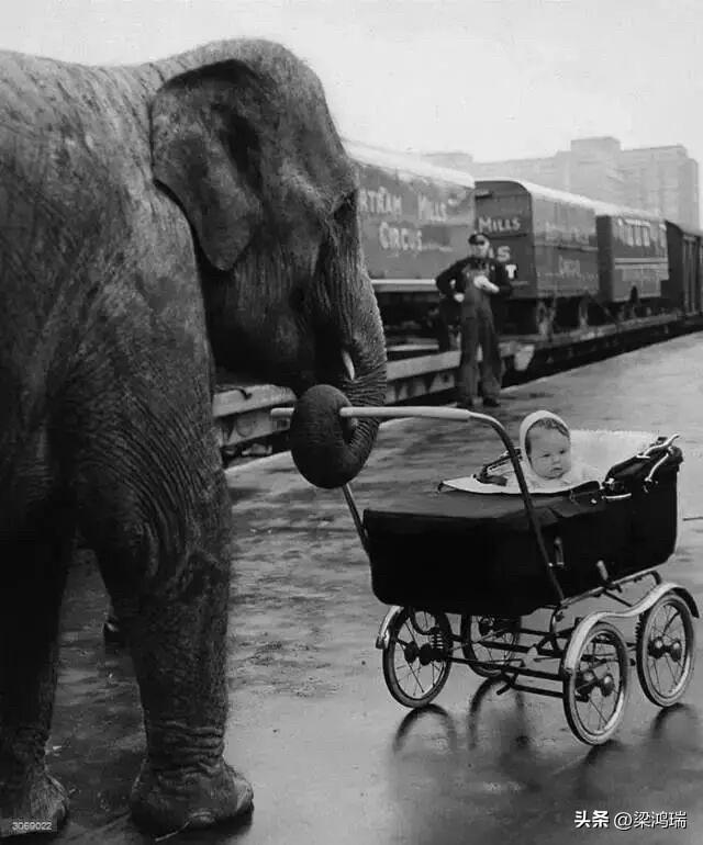 这张黑白照片拍摄于 1956年12月13日。 

照片记录了 Bertram M