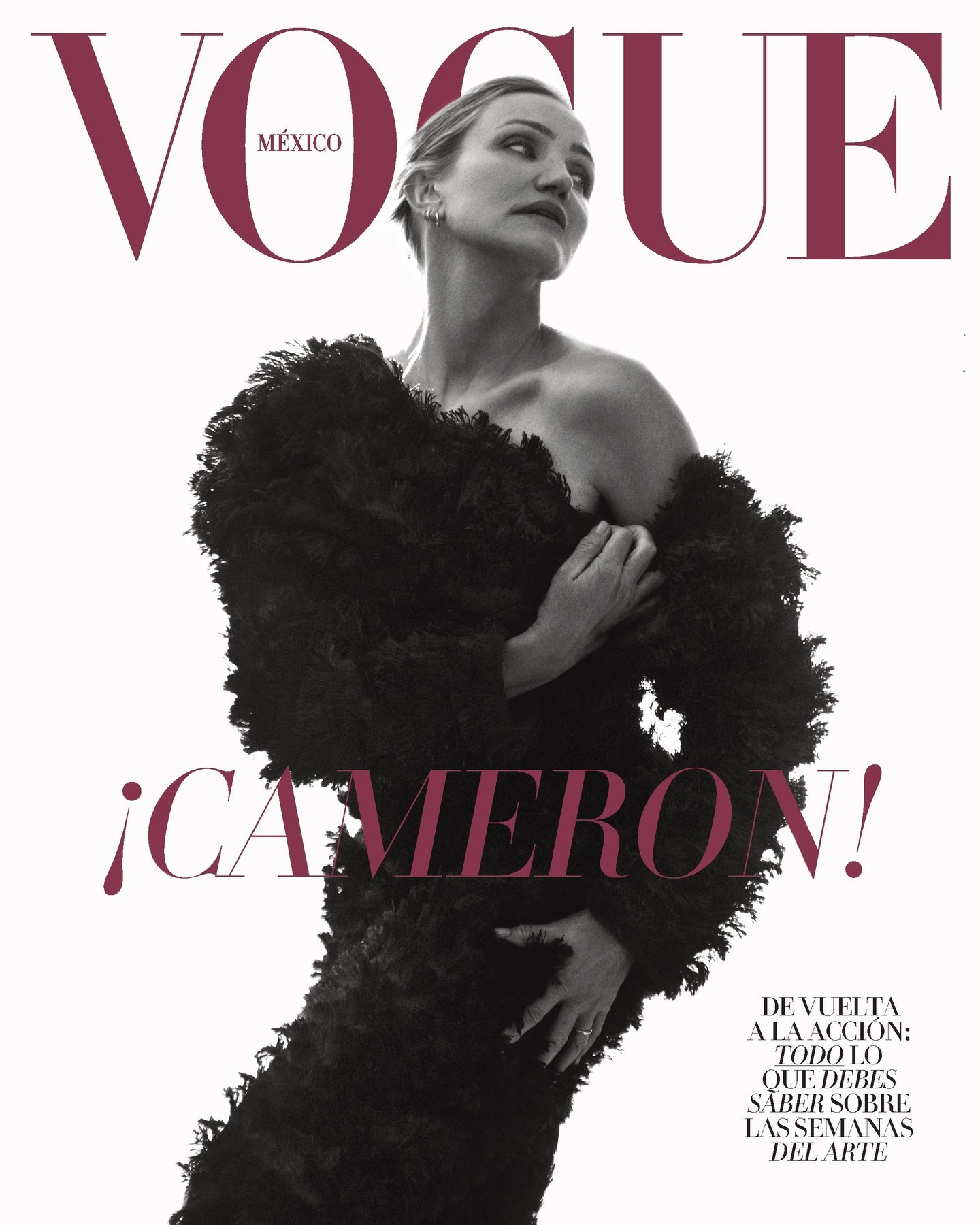 God ！VOGUE Mexico 居然拍了 Cameron Diaz ！ 