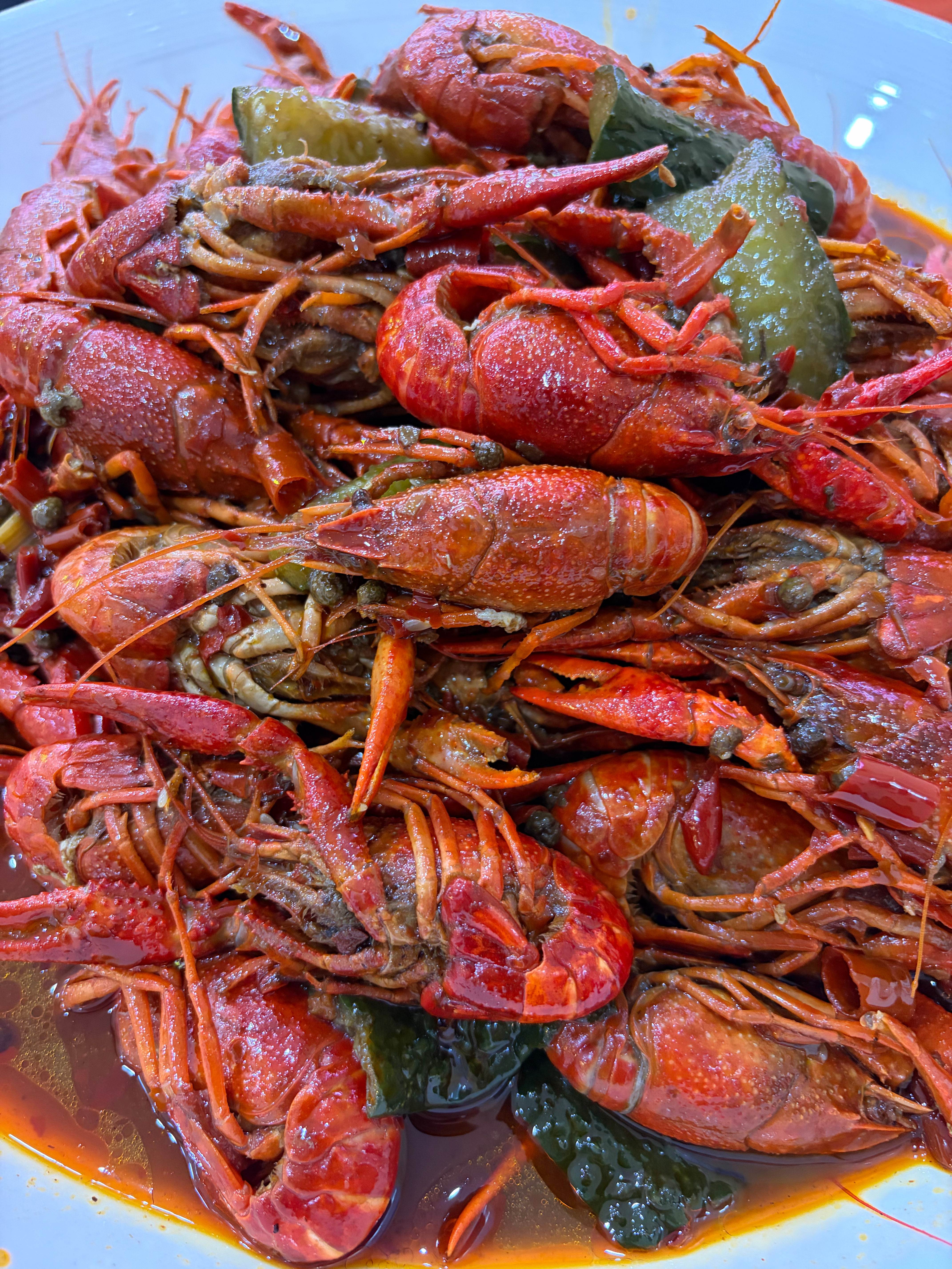 今年的第二顿龙虾🦞我的日常plog 上海·超有钳龙虾馆
