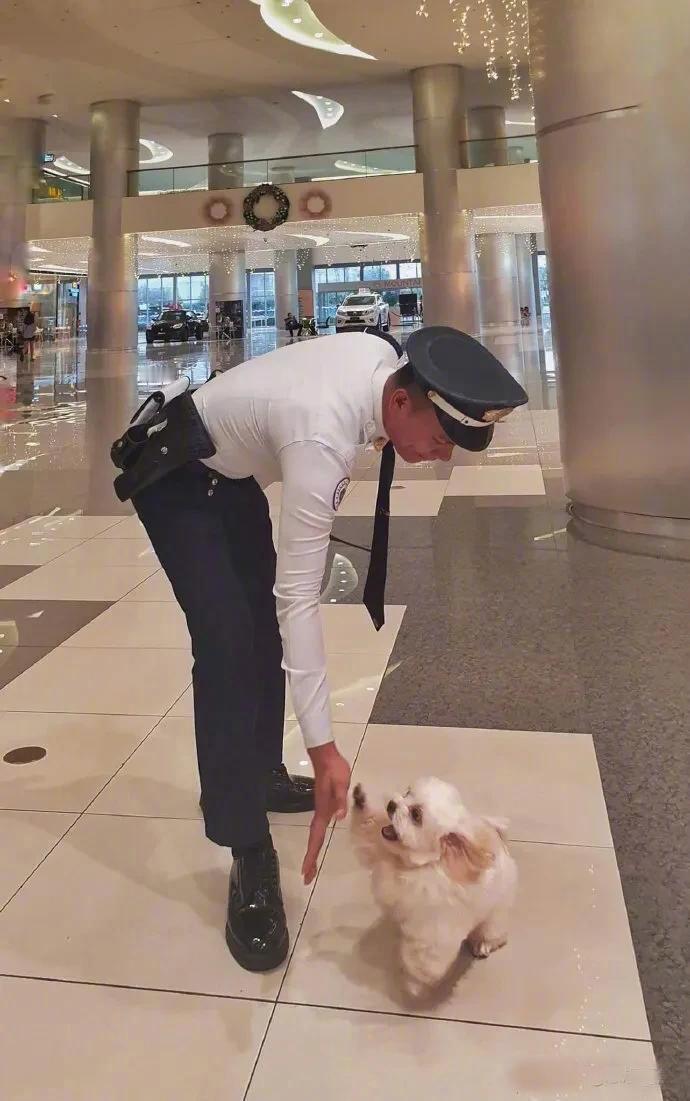 来击个掌吧。