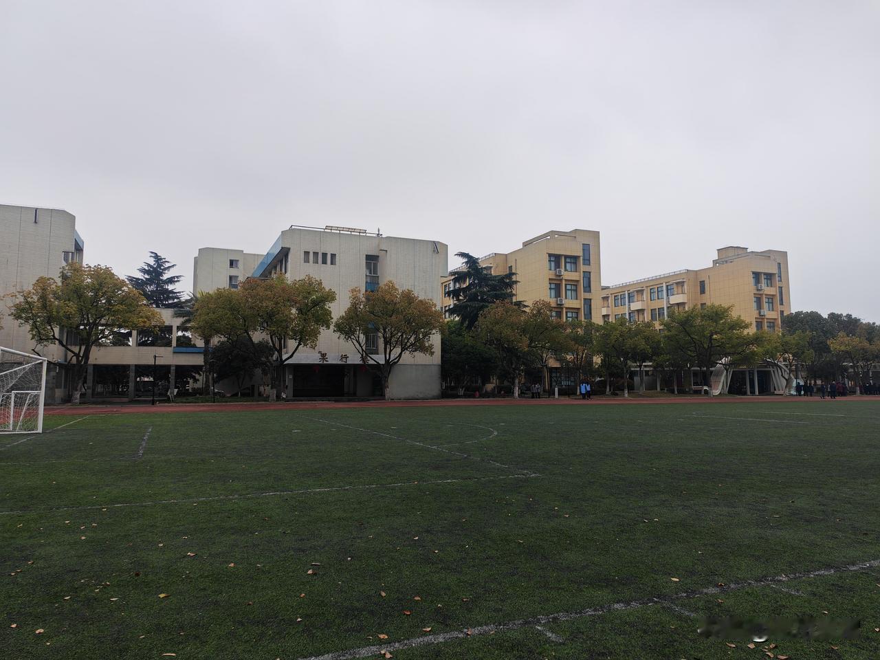 常常有人告诉我：不要过多介入别人的因果，让花成花，让树成树。可是作为一名老师，教