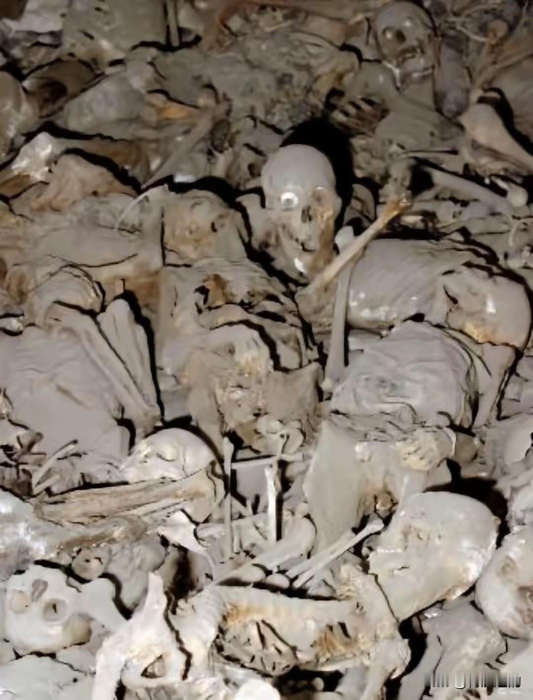 1937年南京大屠杀，日军仅用了一个月就把六朝古都变成了人间炼狱，大街小巷堆满了