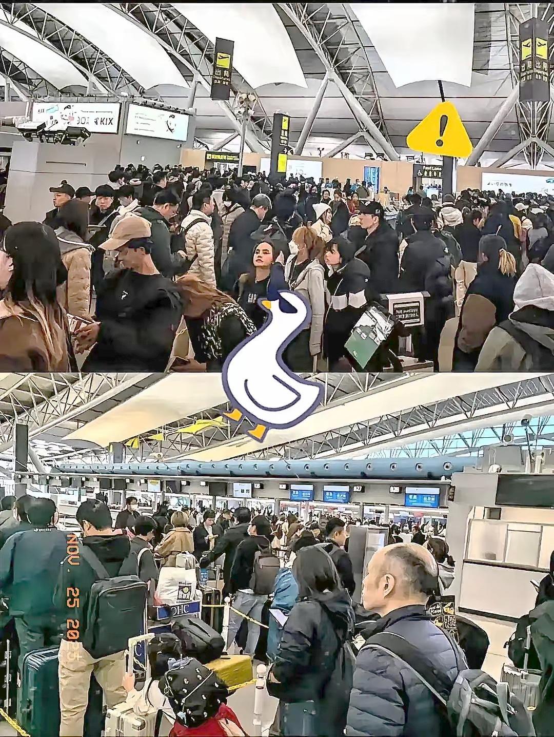 傻眼了吧，赴日旅游这就是不听劝的后果，去的潇洒，想回来可不容易了。航班取消买不到