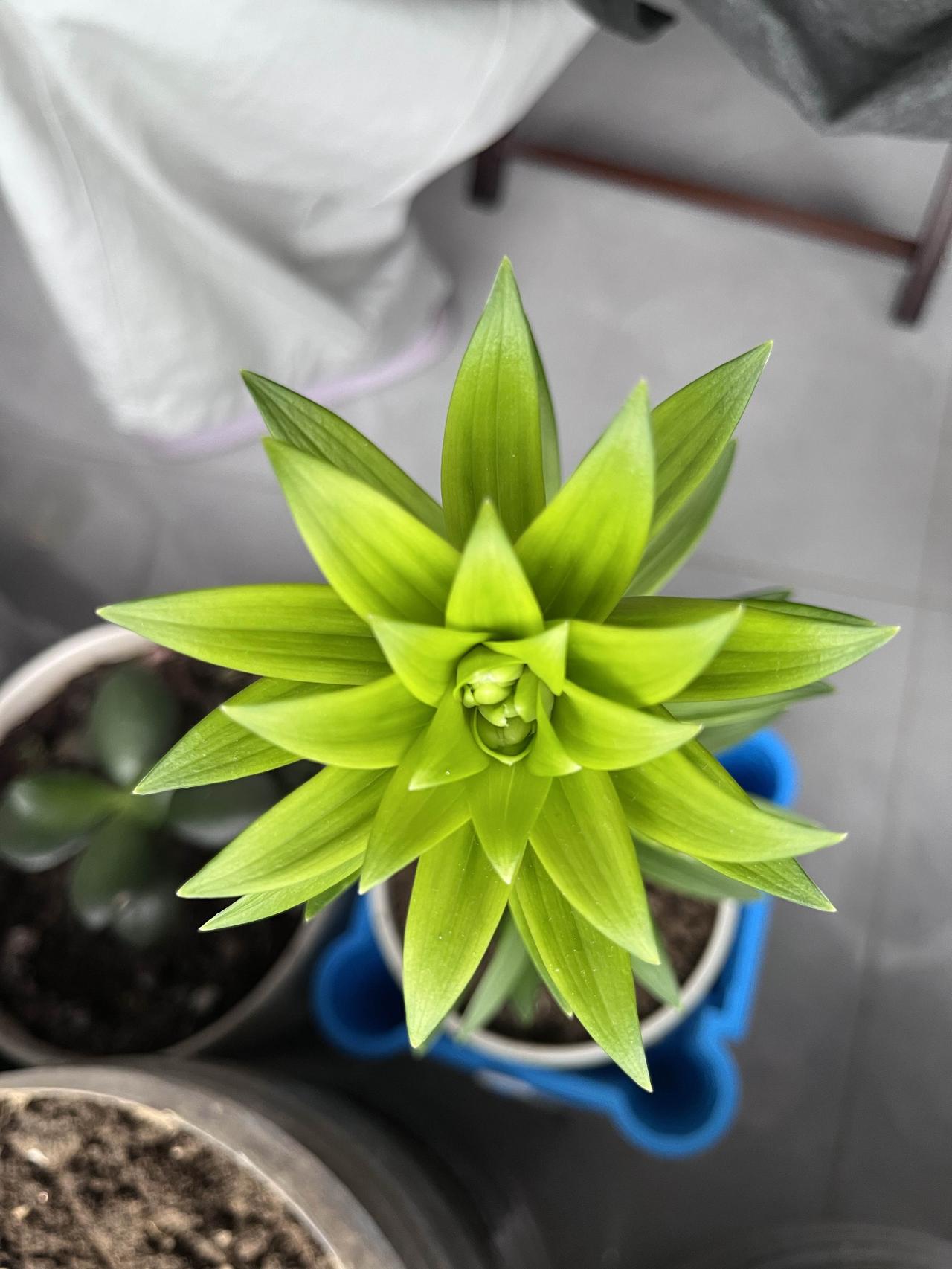为什么有的人天生好命，有的人勤勤恳恳却总差一口气？其实答案，早就藏在你的生肖里了