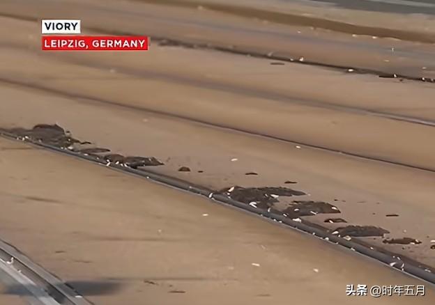 德国热浪融化电车轨道，欧洲高温拷问城市“耐热体质”

德国遭遇40°C以上极端高