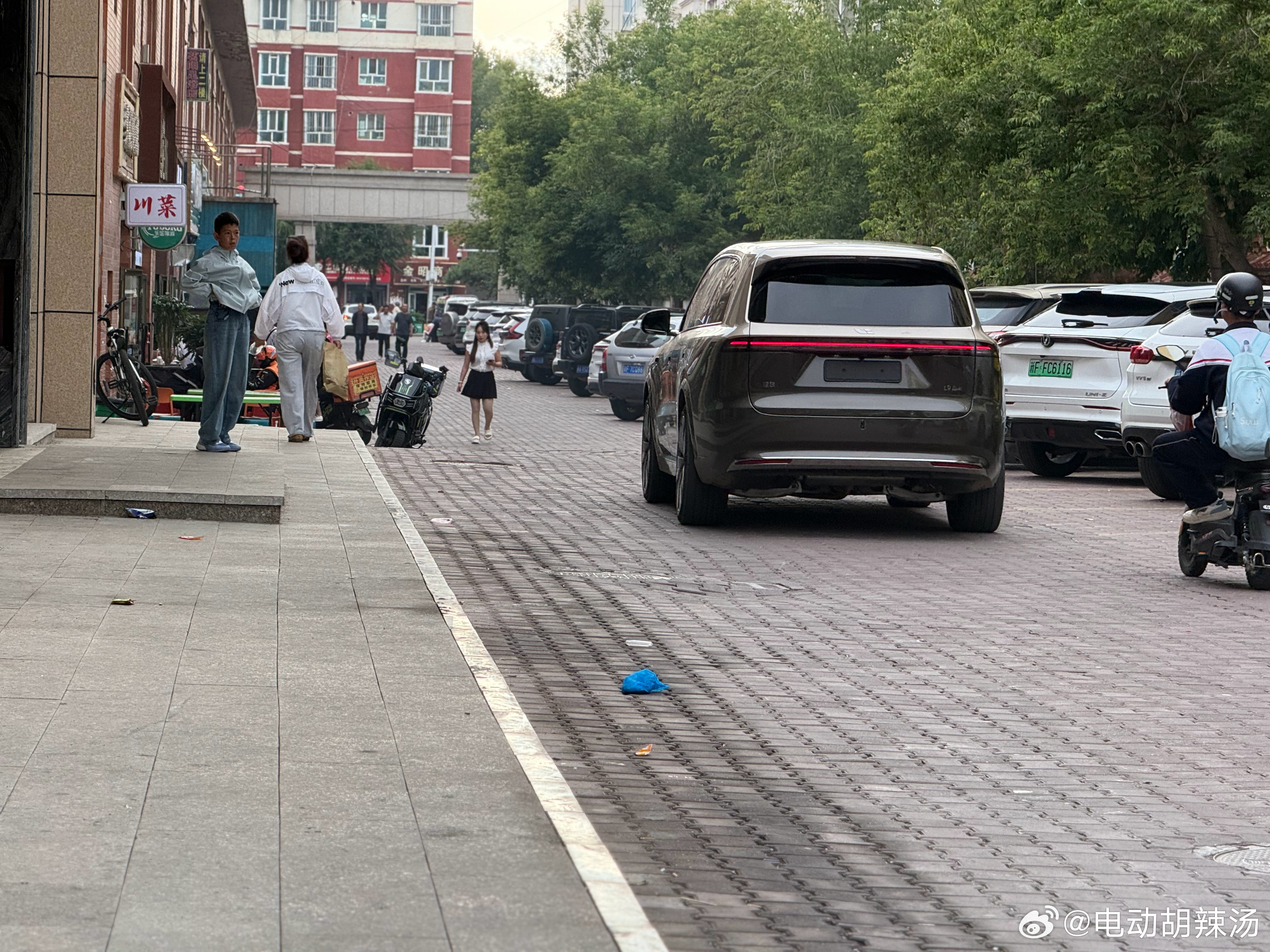在昭苏遇到L9Livis…还是帅呆了！理想汽车理想L9Livis