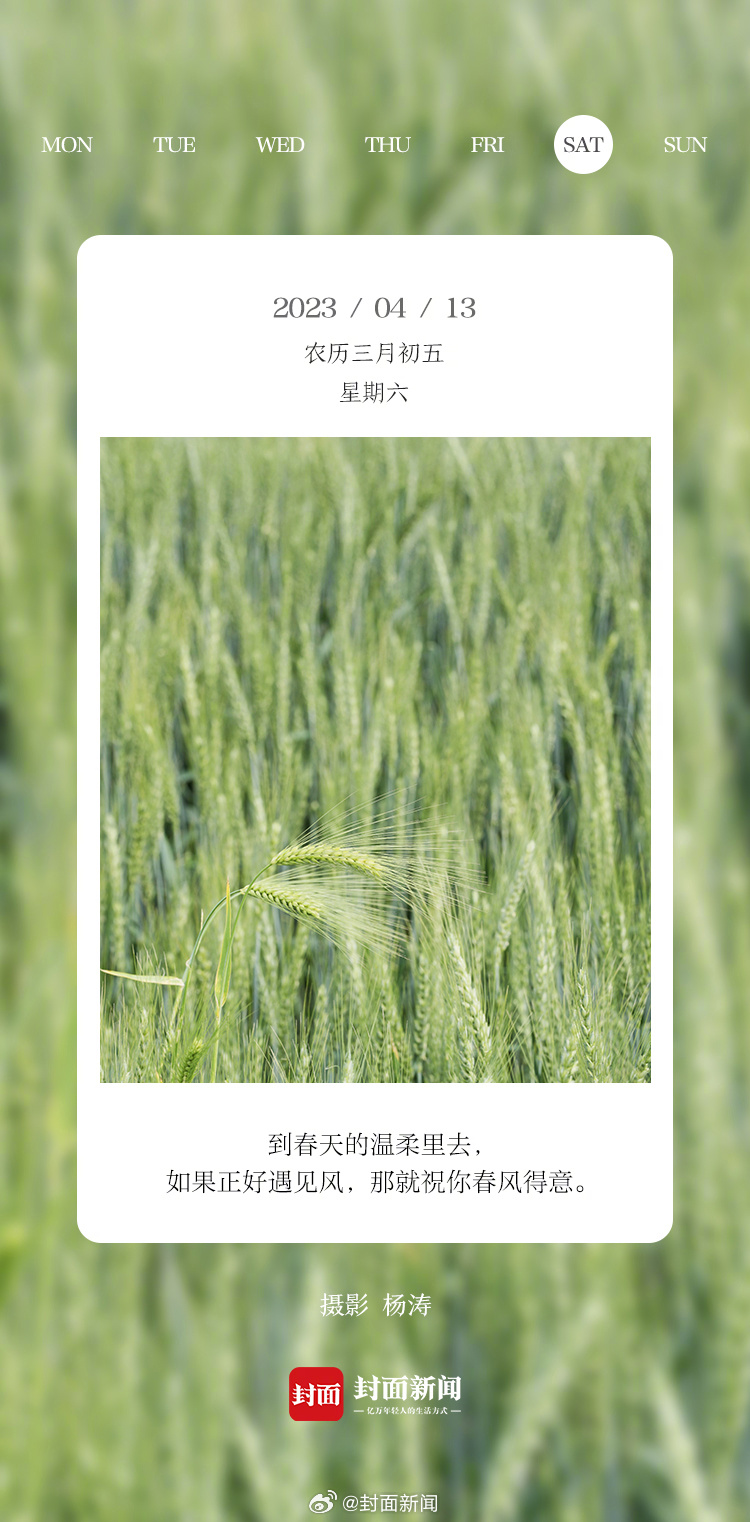 #小封日历# 今天周六~终于休息了，准备睡到几点起？[吹风车] ​​​