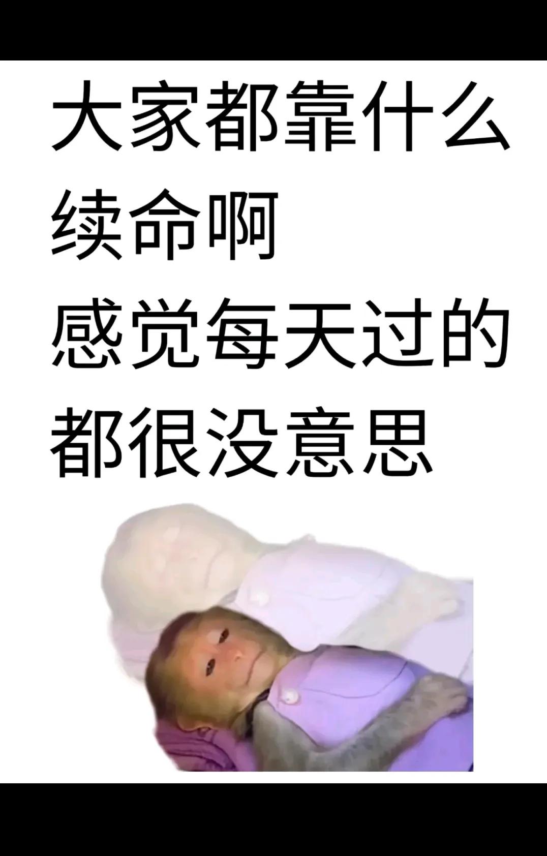 你们每天都怎么过啊？？？