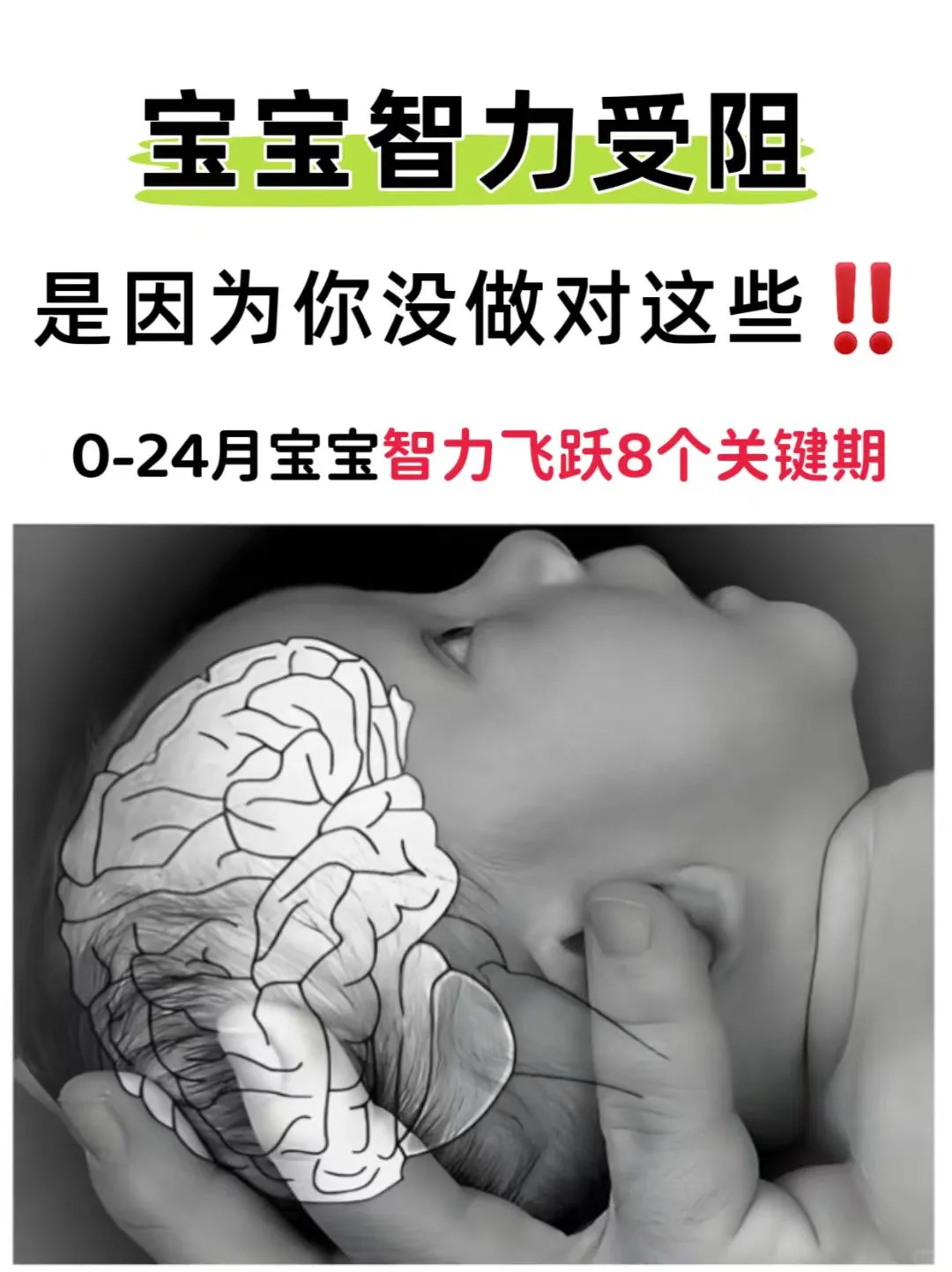 抓住8个关键期❗️提高宝宝智力飞跃有方法