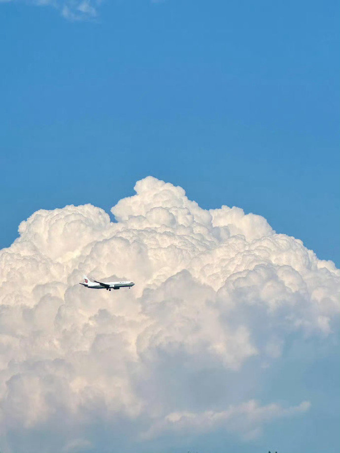 云朵收藏家☁️ ​​​