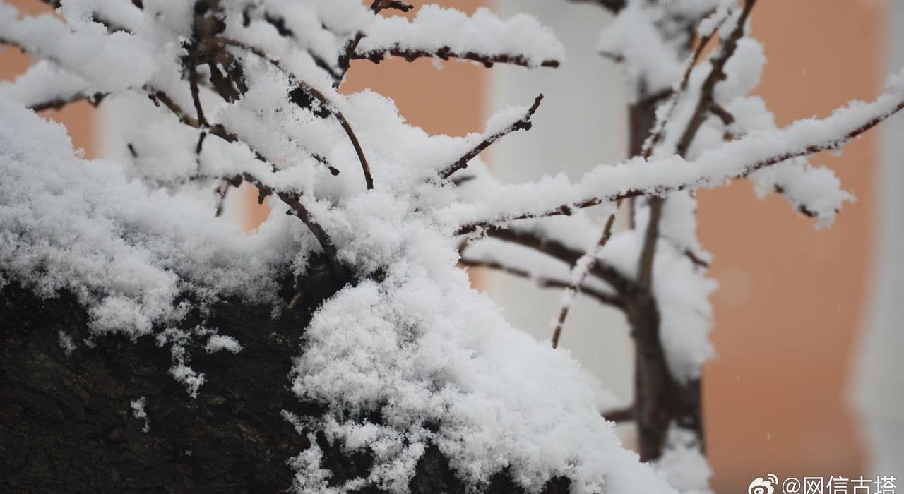 辽宁省鞍山市：春雪轻柔 ​​​