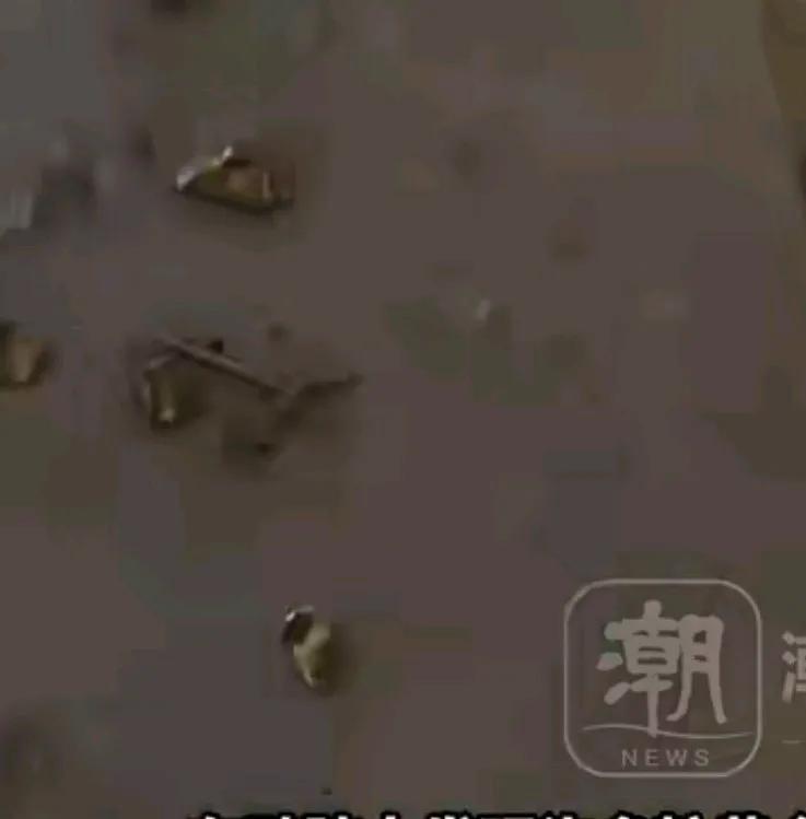 男子杀鸭子，竟从鸡胗中抽出中抛出金色颗粒，
经灼烧鉴定为黄金，
重约十克，
男子