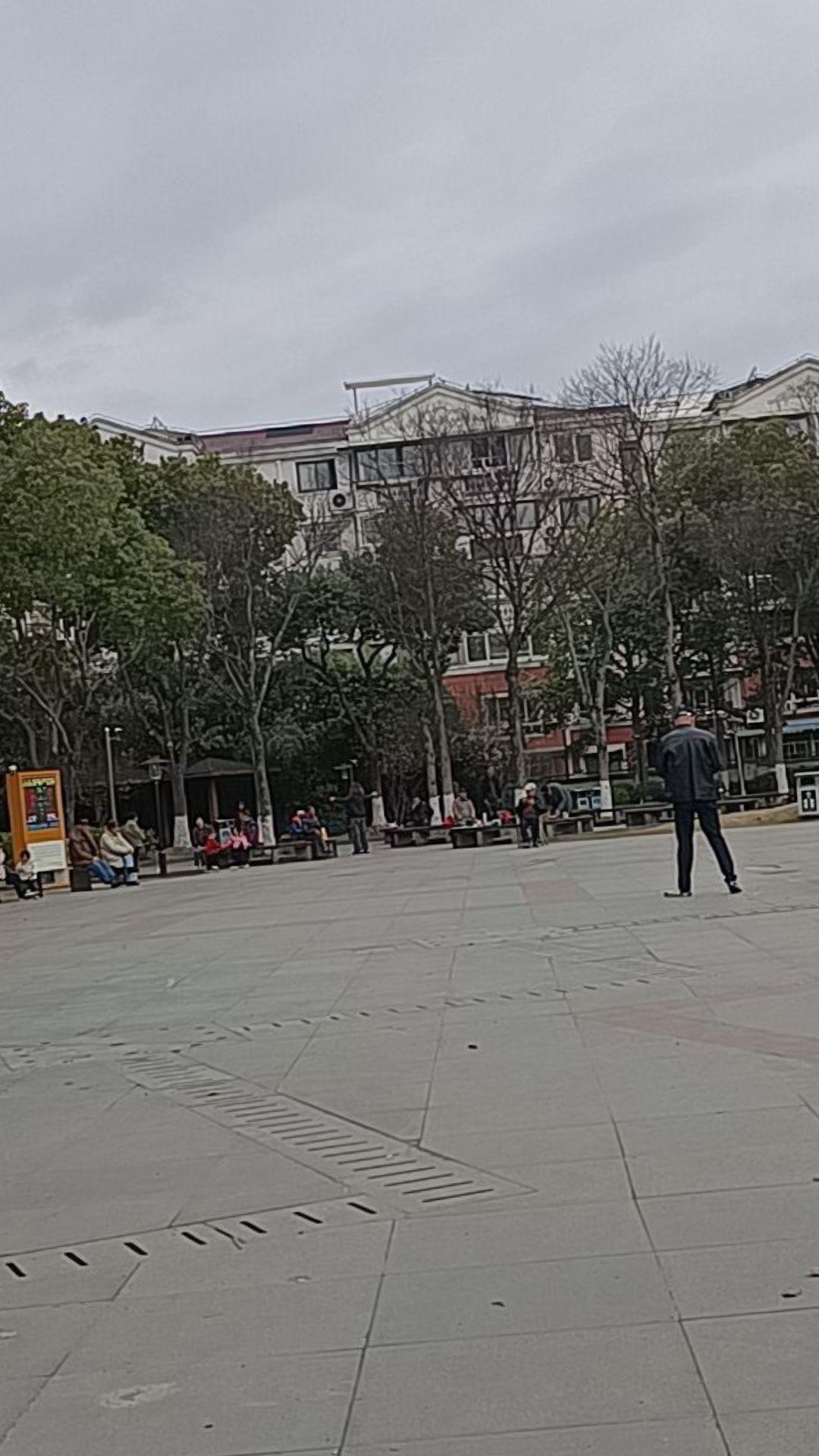 好久没有来公园坐了，今天来到这里一坐，每天就是忙者着写头条刷新闻！散步公园风景 