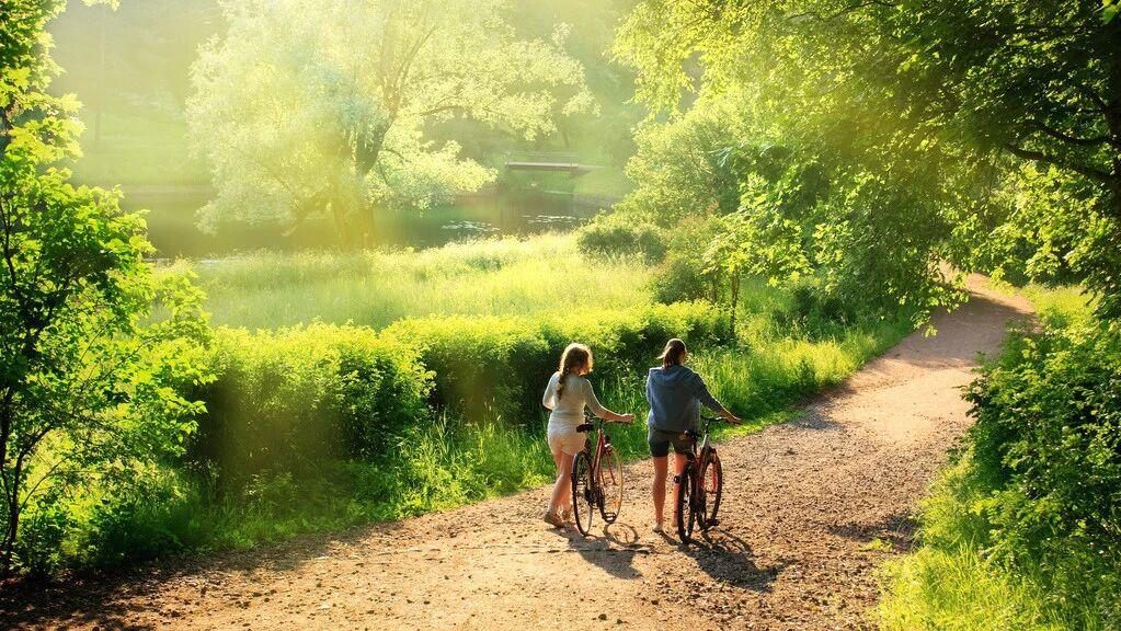 长寿一直是大众关注的焦点，近日复旦大学研究团队在《美国医学会杂志》子刊发表的一项