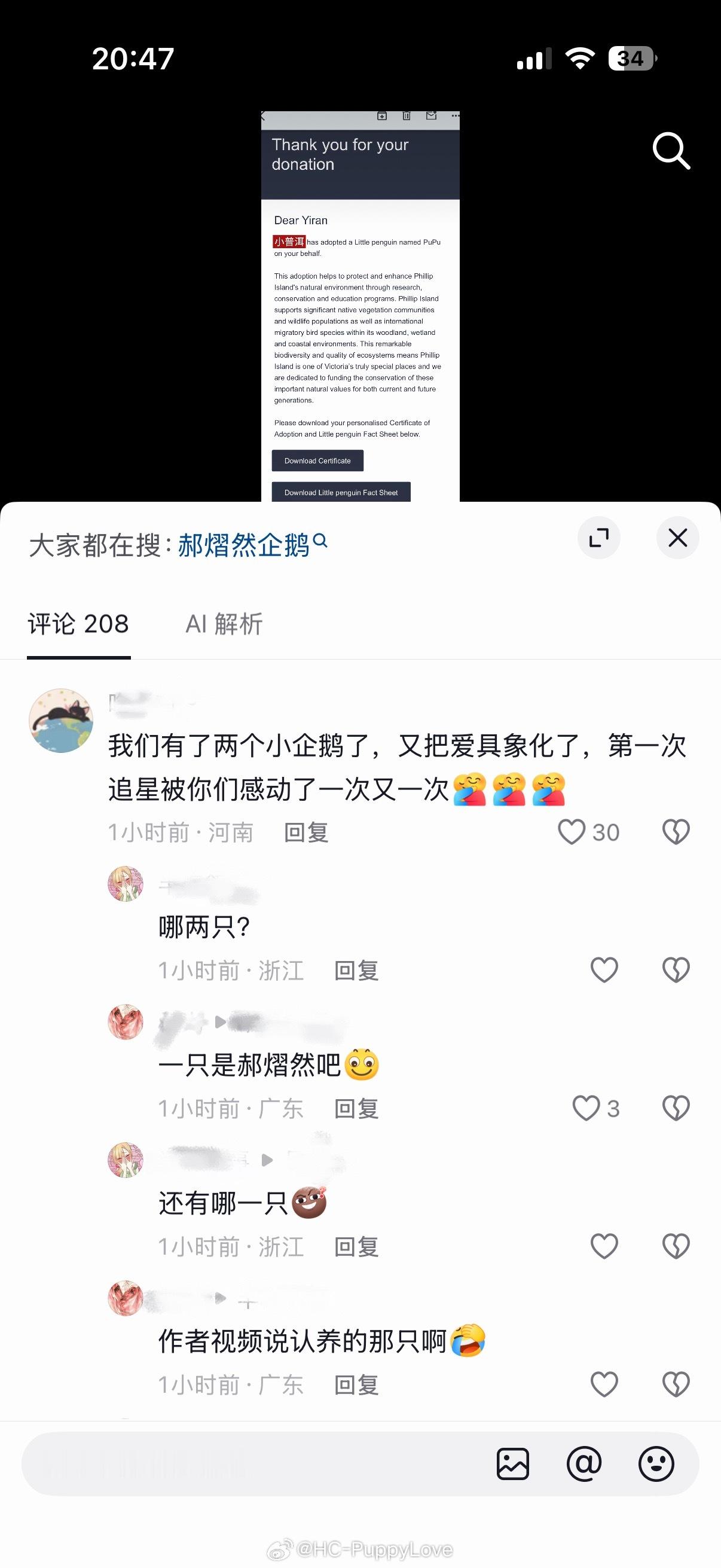 茶叶子就这样变脸😂警觉→😡质疑→🥰爱与和平 