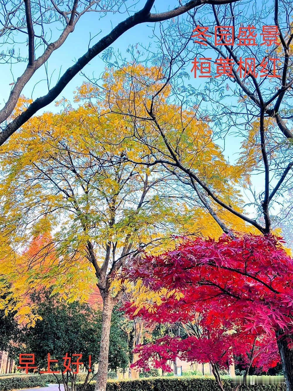 分享一下你随手拍下的照片