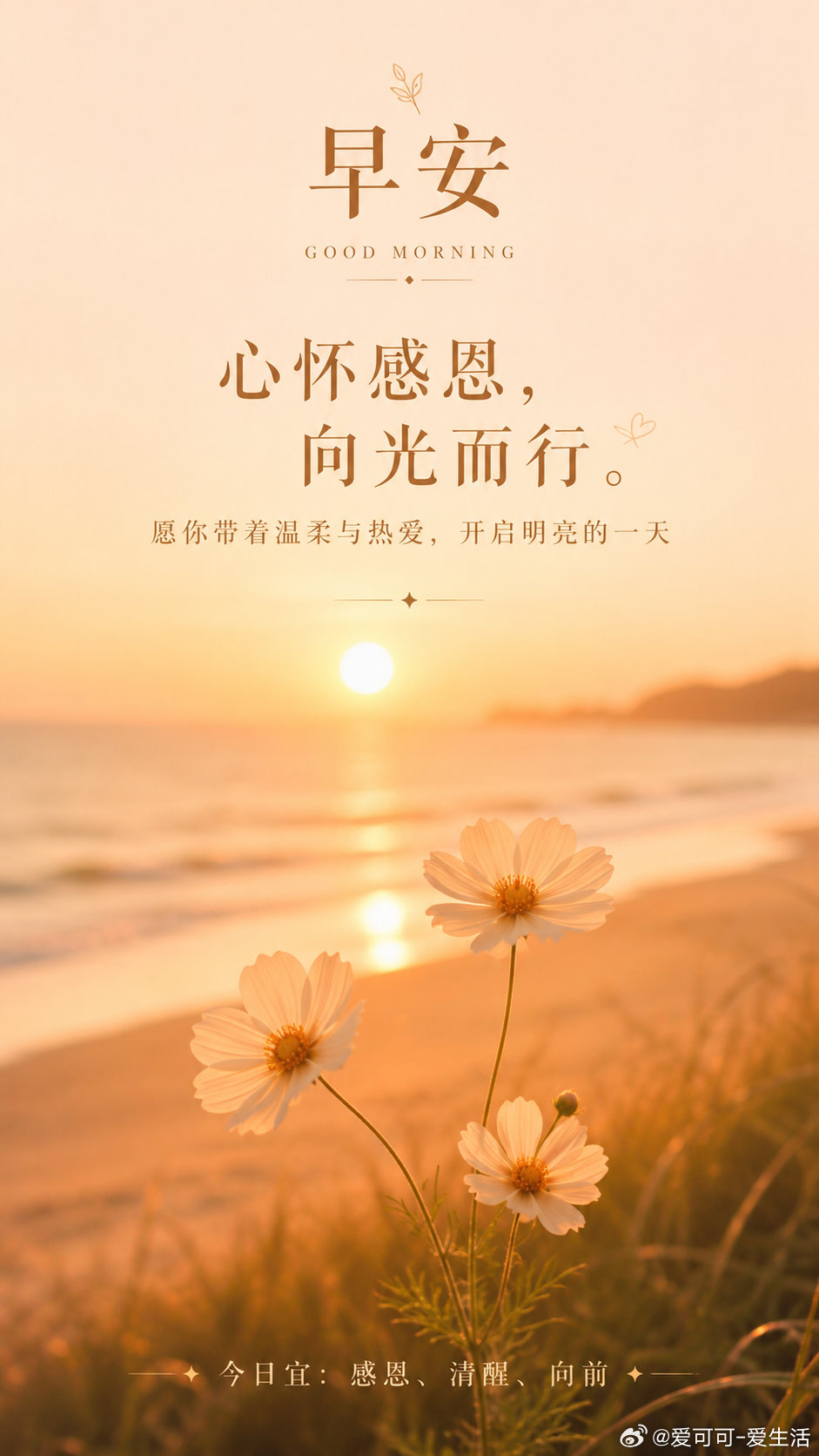 早！ 早安