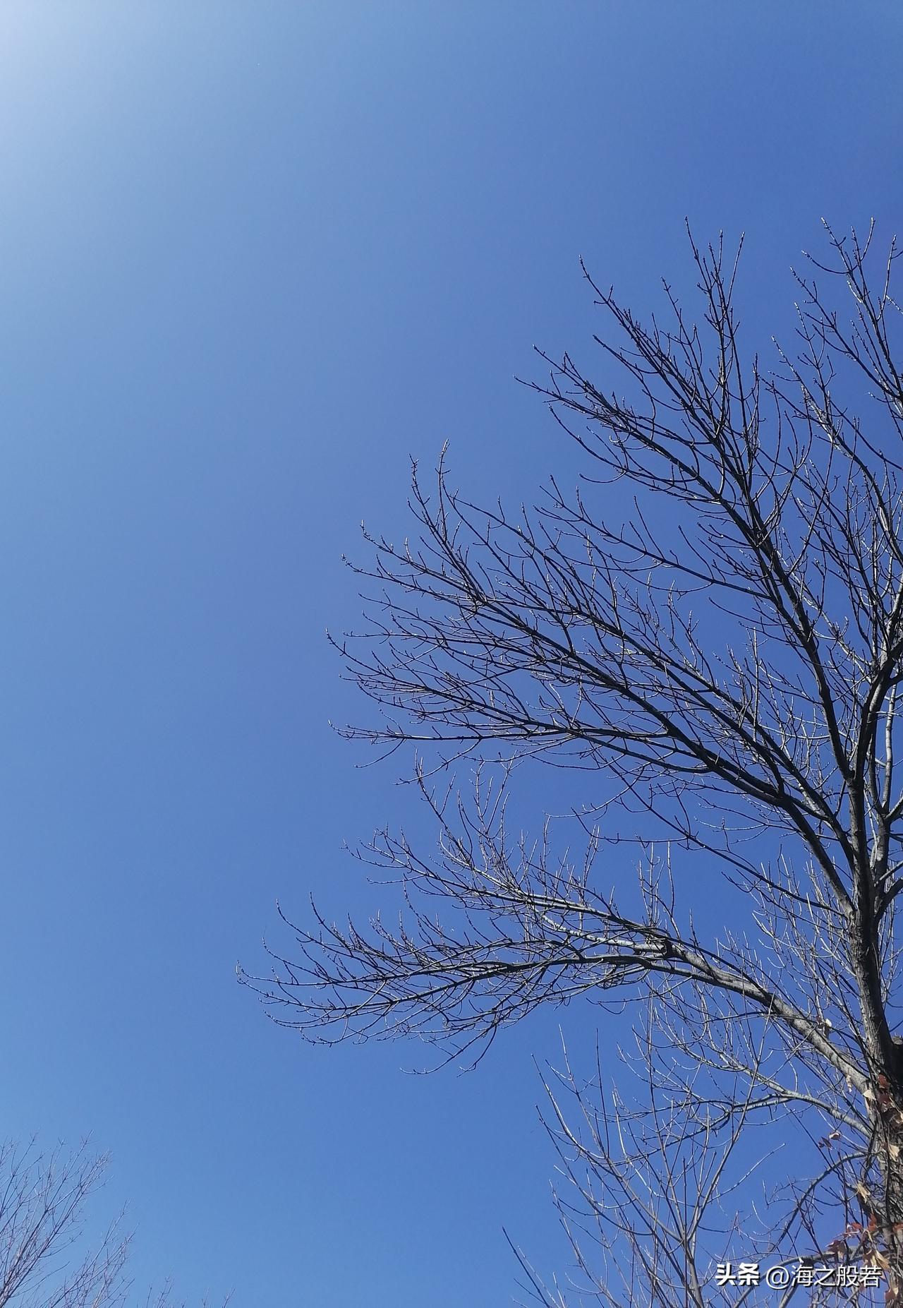 今天是正月十九了，被民间称为“年封口”，标志春节正式结束。这天需封存好运财运，收