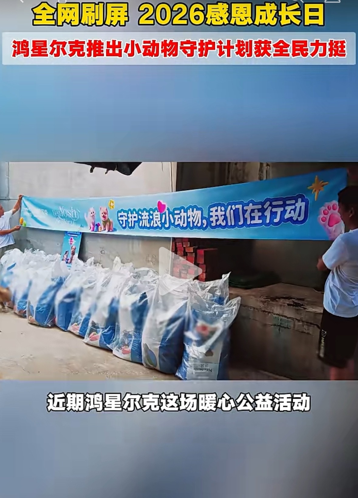 国民运动品牌鸿星尔克推出流浪猫狗守护公益计划，聚焦流浪动物规范化救助与科学化喂养