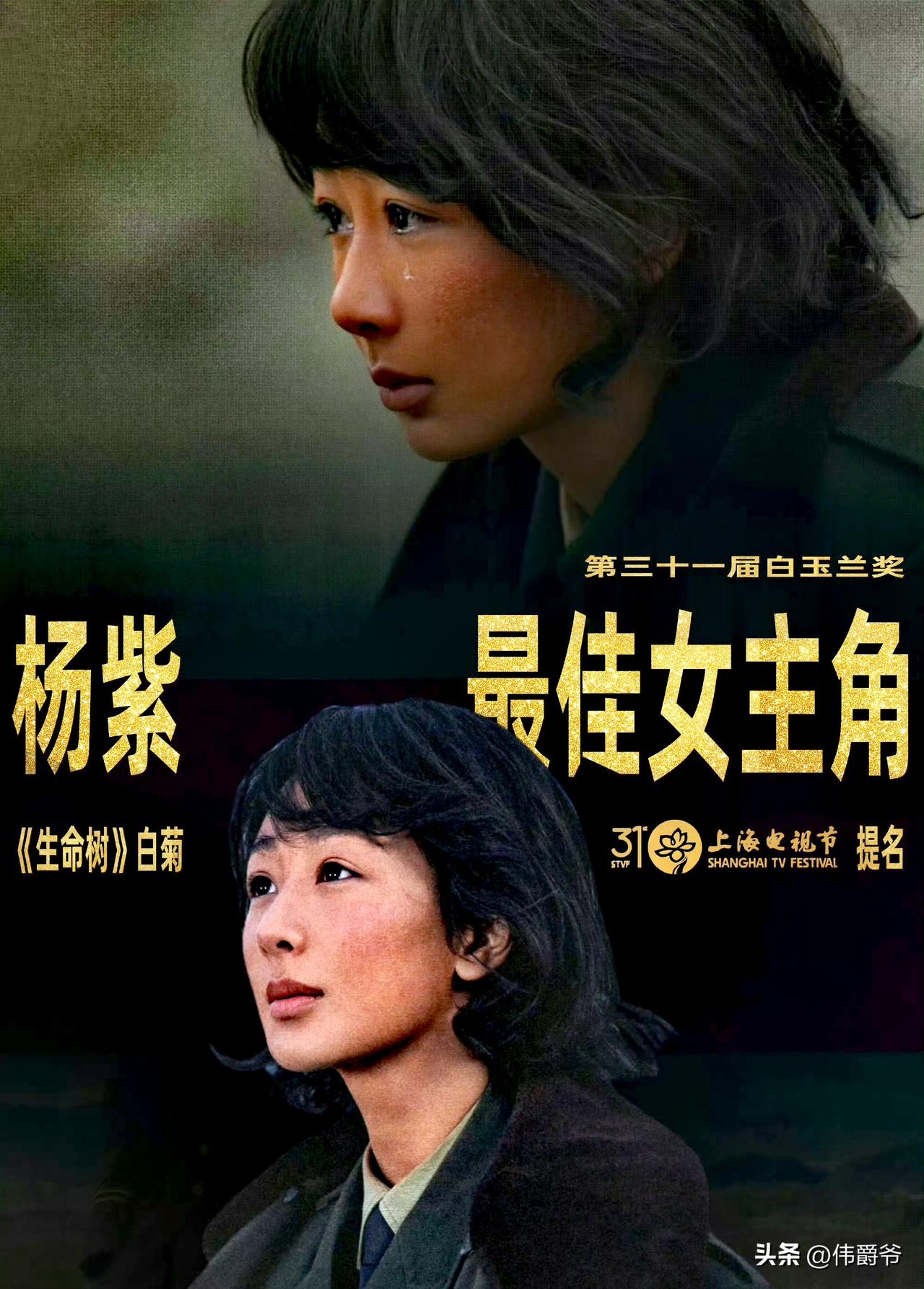 第31届上海电视节白玉兰奖颁奖典礼于今晚（6月26日）举行，完整获奖名单已全部揭