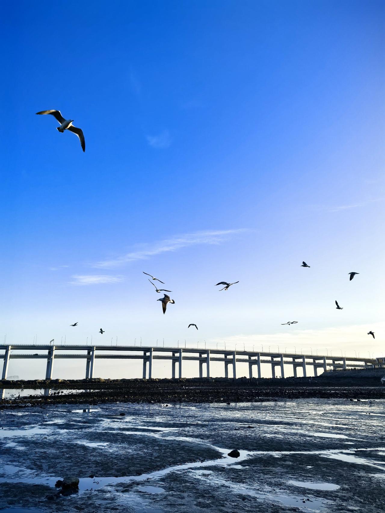 下联：碧海接长空。

（图片来自网络）