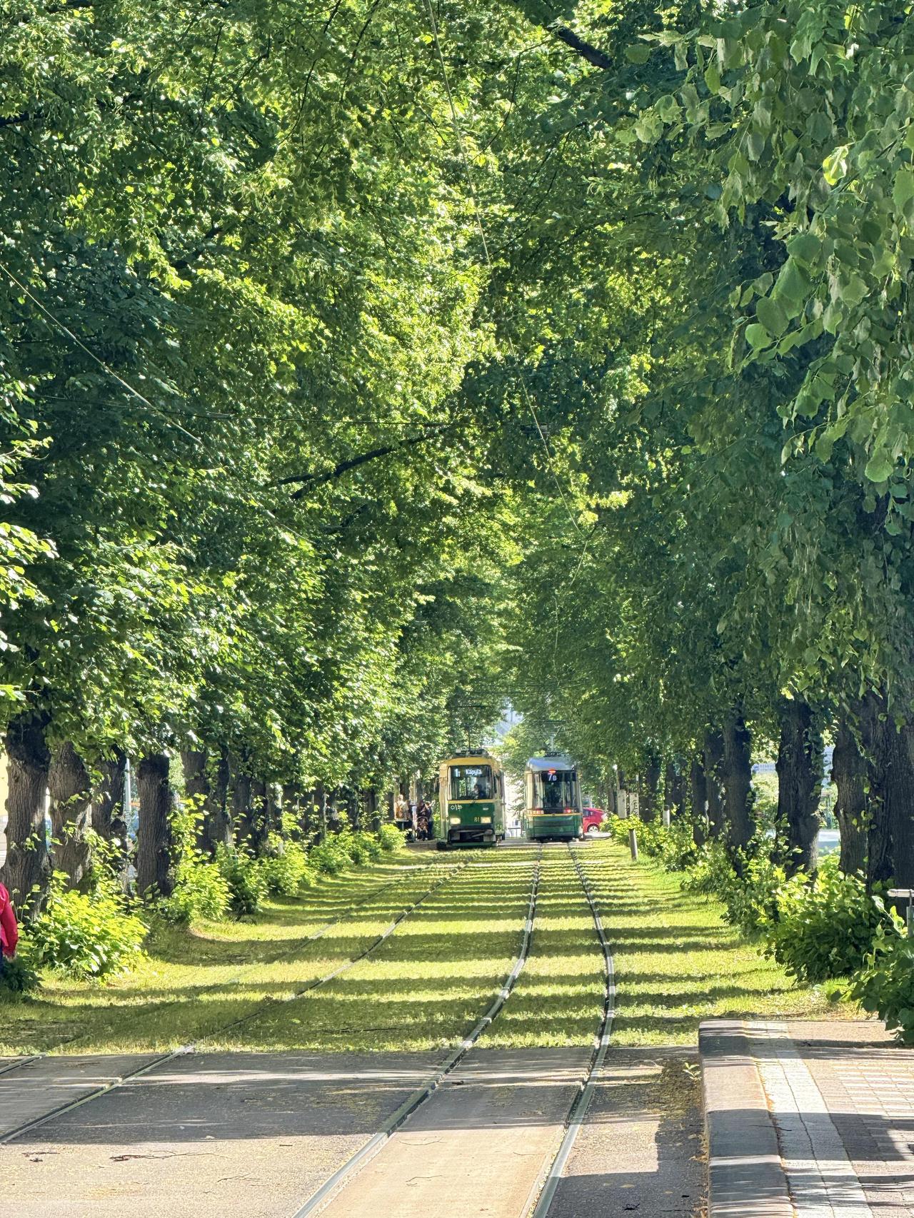 这是赫尔辛基街头的一辆有轨电车，画面充满宫崎骏动画般的生活气息。有网友说，这张照