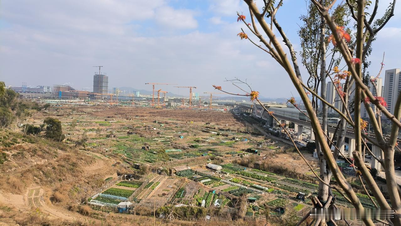 北仑富邦对面凤凰山脚下，这么大一片空地，为什么不去开发？那么好的地段，离银泰富邦