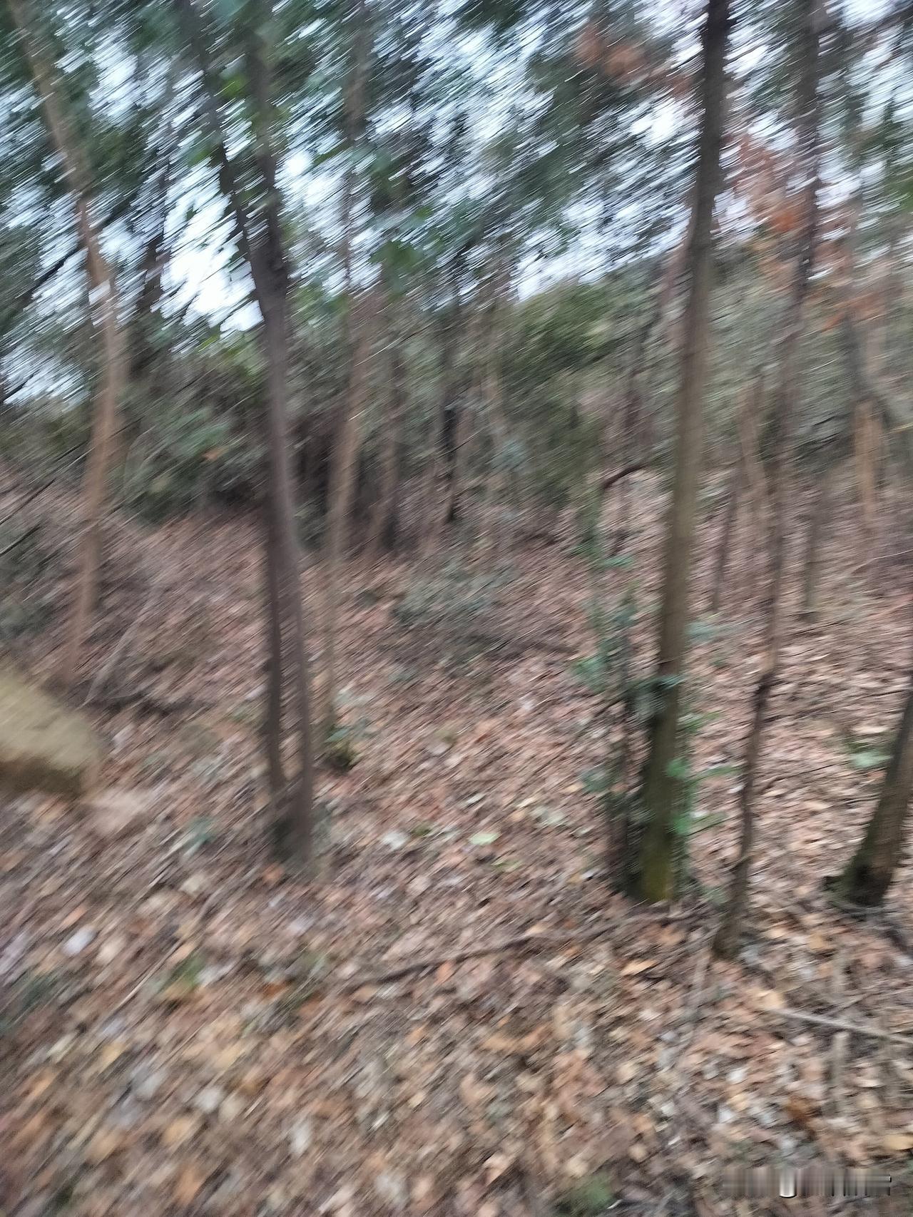 计划赶不上变化吗？