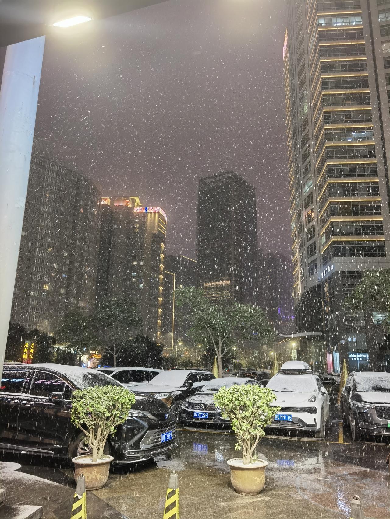 今天阳光明媚，回想起前几天漫天大雪是感觉有多么美！分享给各位回忆一下大雪纷飞感受