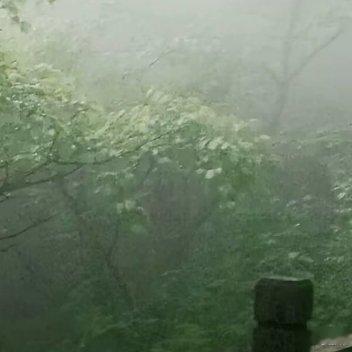每日一善  🍀阳光信用🍀 每日一善人生的路经历过，才知道有短有长；岁月，在无