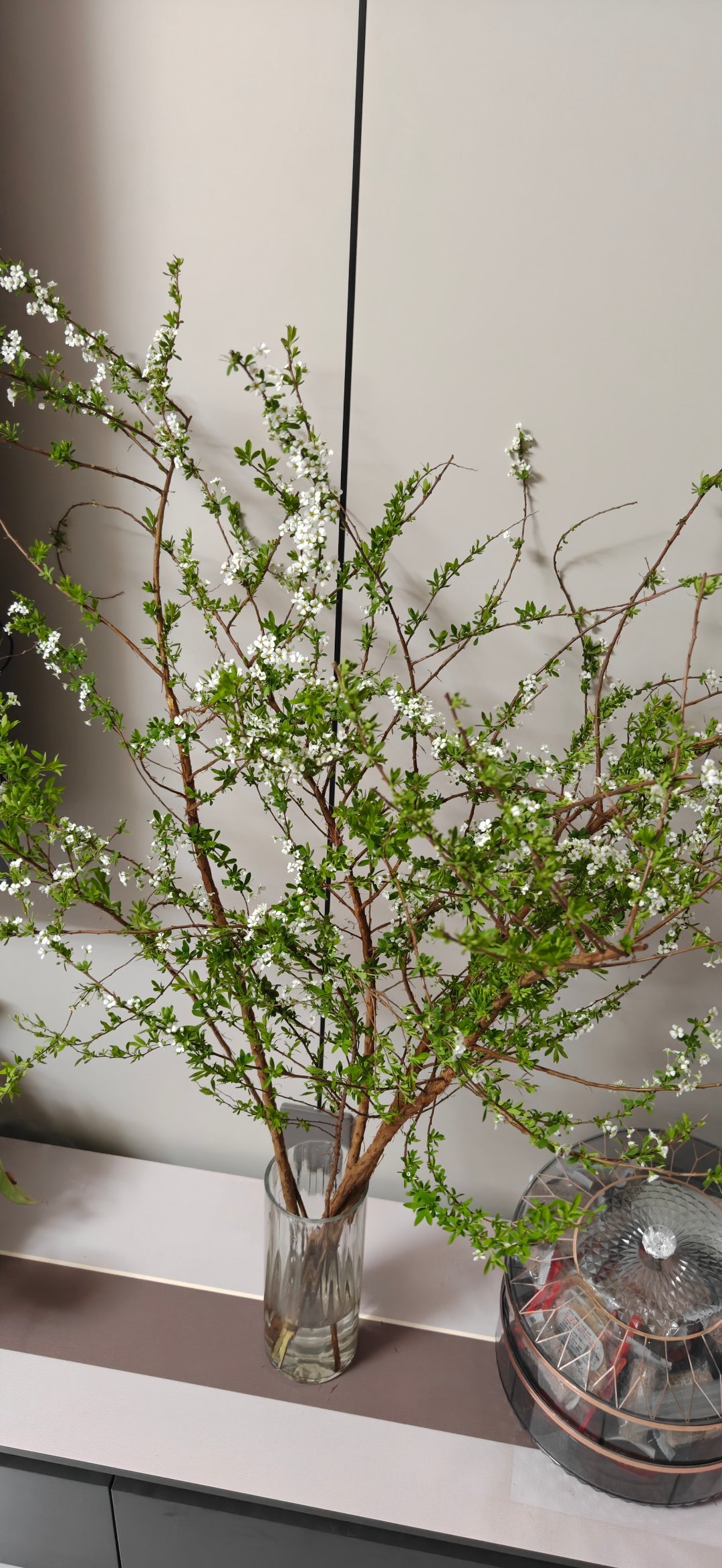 在这个薄情寡义的世界里    良心是一个好东西       却不是人人都有 