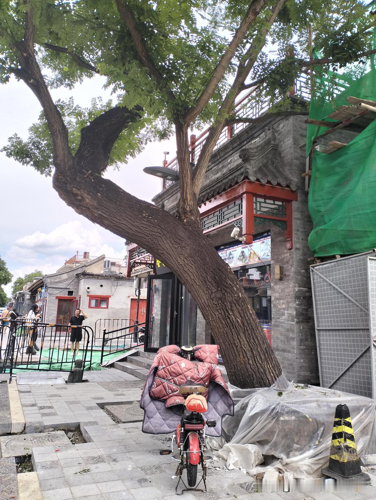 《北京日报》：北京信息科技大学软件工程专业大二男生开水果店日营收近万。
这位大二