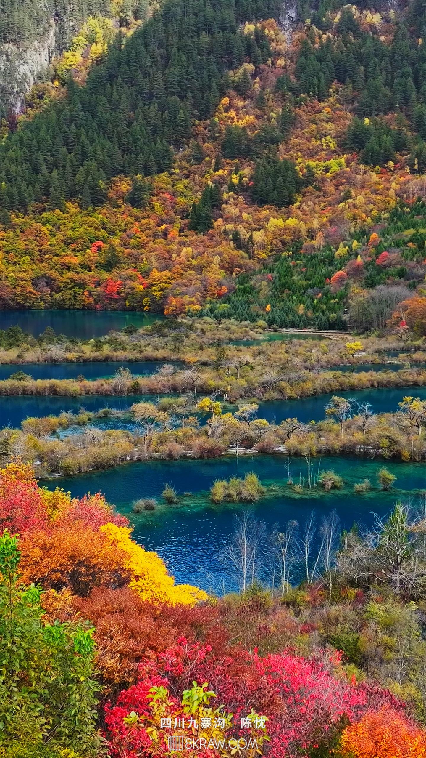 在九寨沟环游五彩童话世界。 遇见漫山绚烂，邂逅一池清澈， 天地间的色彩...